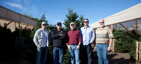 Wholesale Christmas trees in Los Angeles, California
